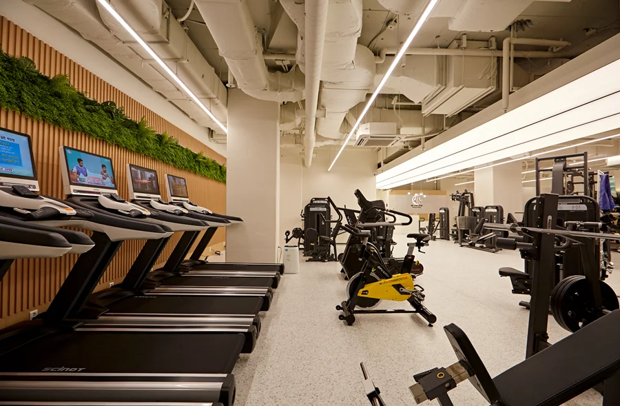 피티샵인테리어